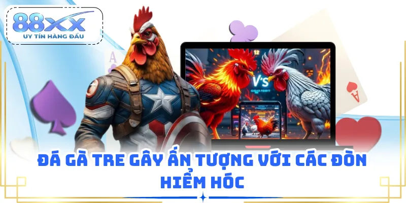 Đá gà tre gây ấn tượng với các đòn hiểm hóc