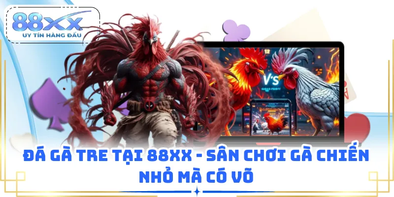 Đá Gà Tre Tại 88XX - Sân Chơi Gà Chiến Nhỏ Mà Có Võ