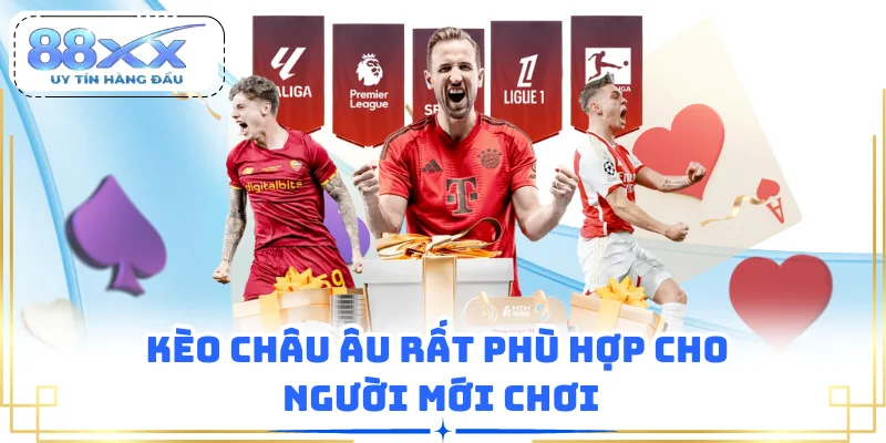 Kèo châu Âu rất phù hợp cho người mới chơi